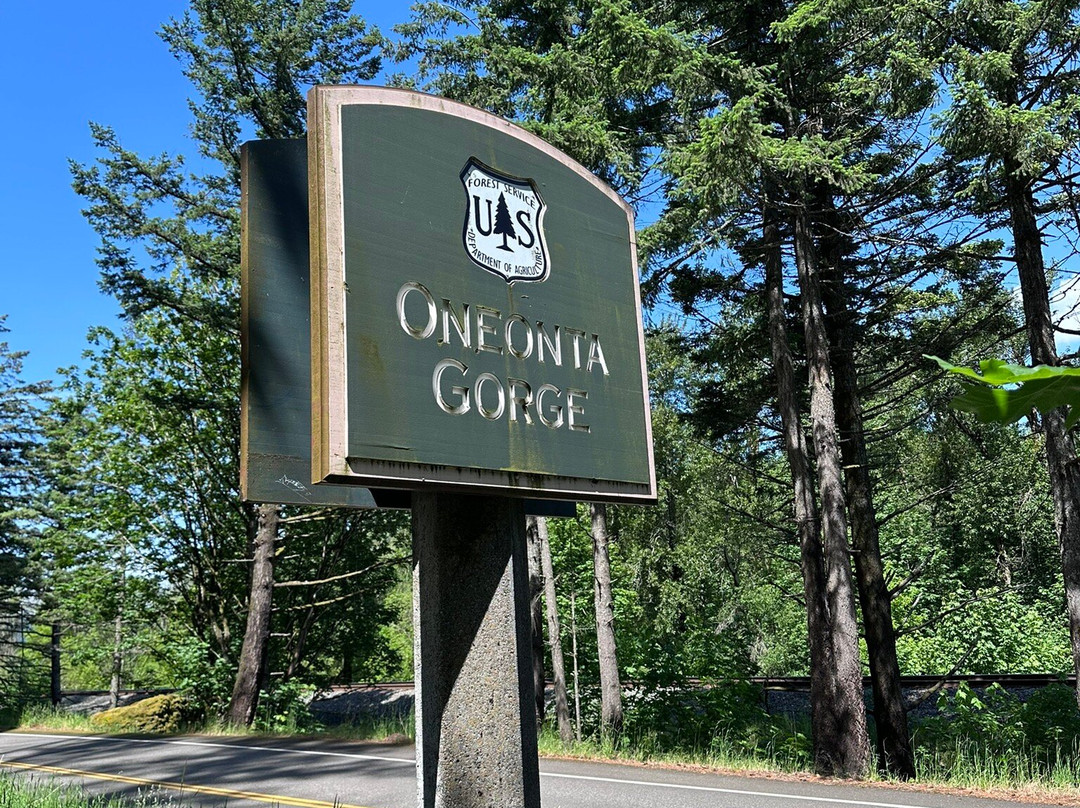Oneonta Gorge-Cascade Locks必去景点