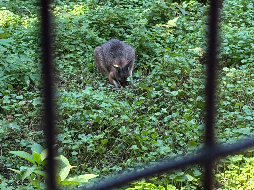 Lehigh Valley Zoo-Schnecksville必去景点
