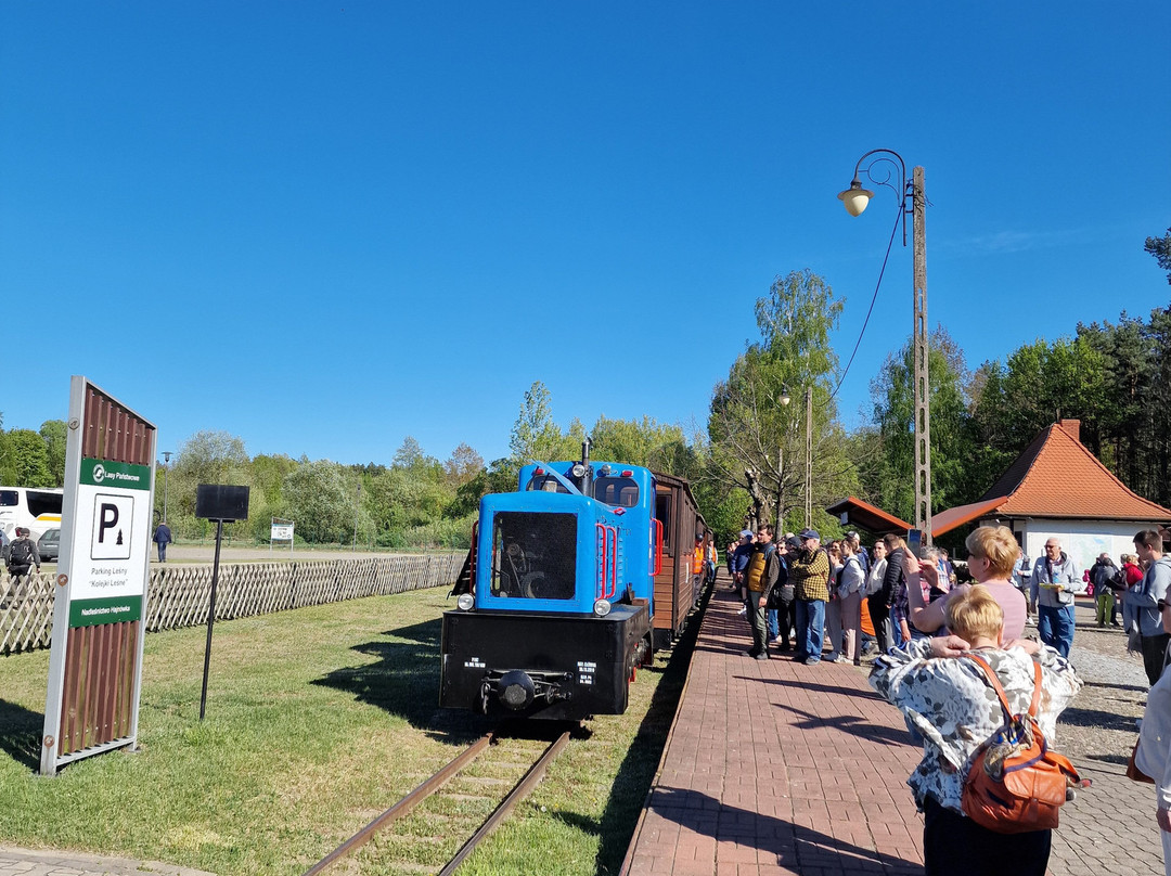 Narrow Gauge Forest Railways-Hajnowka必去景点