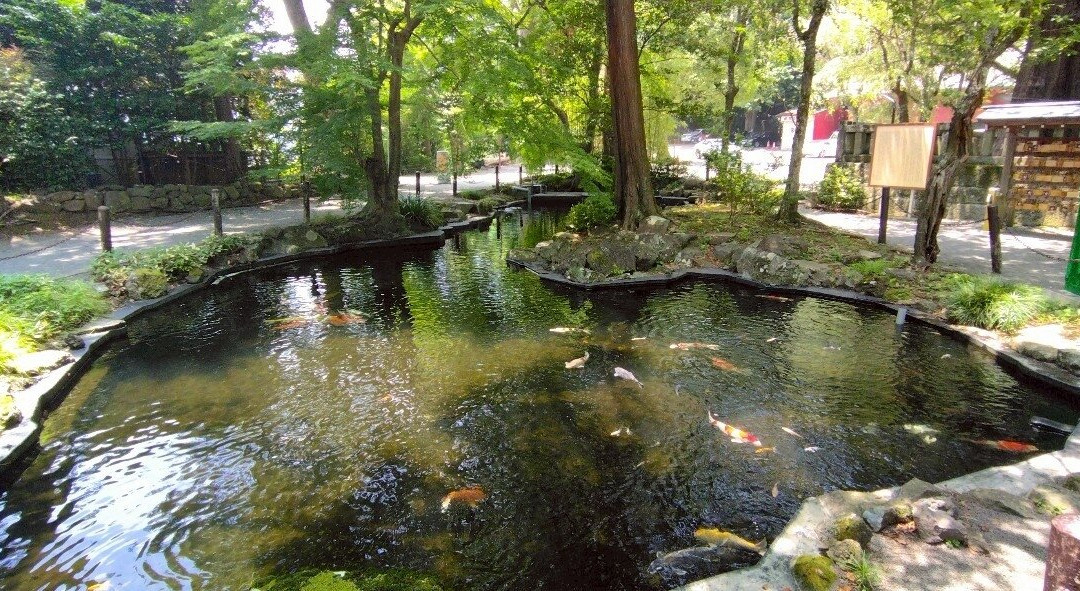 Izusan Jinja Shrine-热海市必去景点