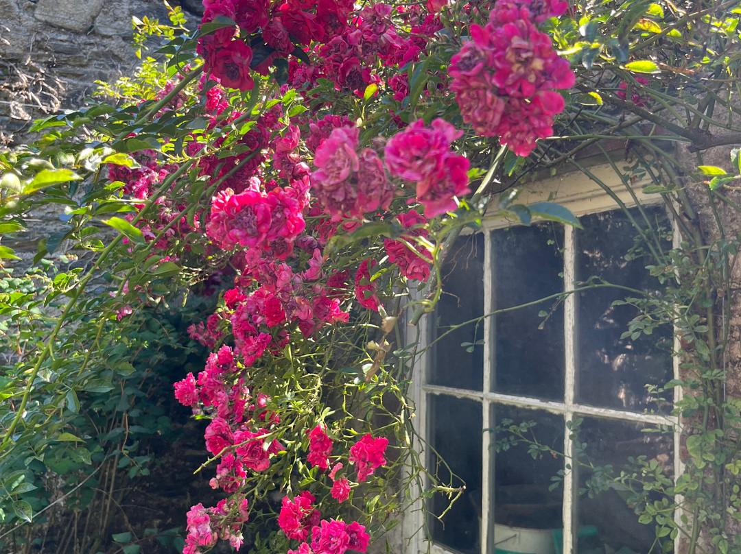 Woodville House and Gardens-新罗斯必去景点