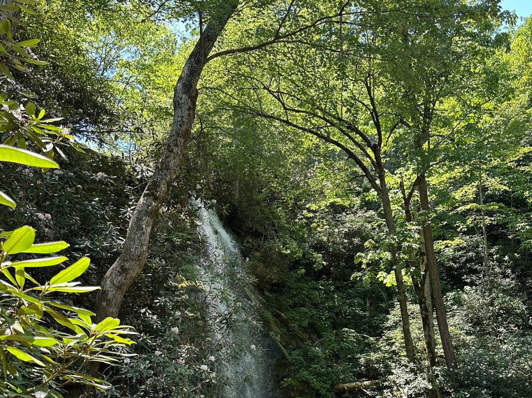 Catawba Falls-Old Fort必去景点