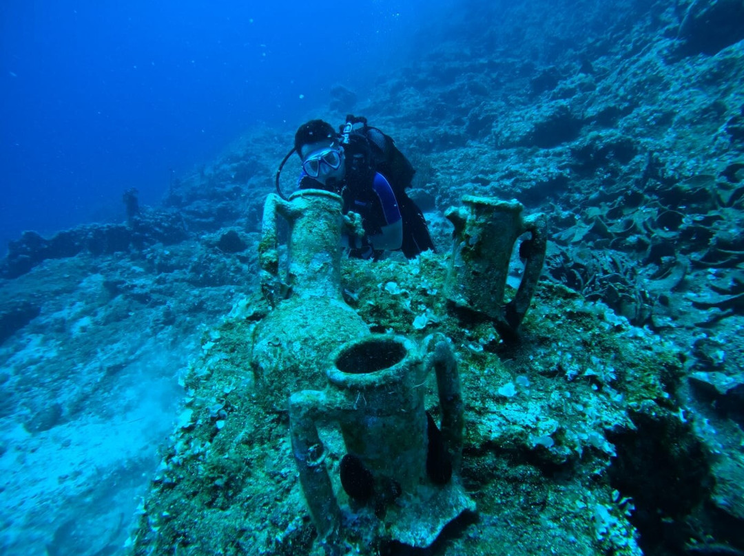Salt Water Divers-埃尔穆波利必去景点