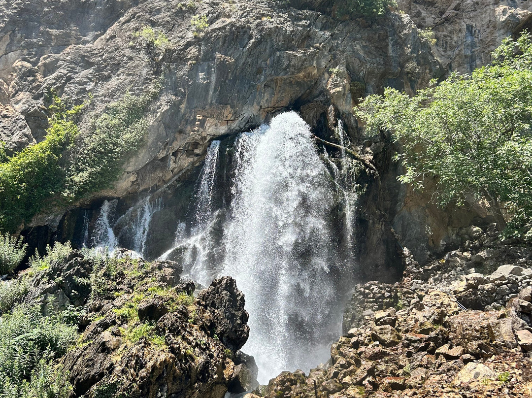 Kapuzbasi Selale Motel主图