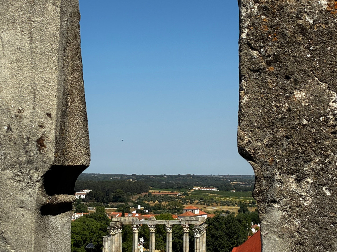 Grand Rota Tours - Portugal-波尔图必去景点