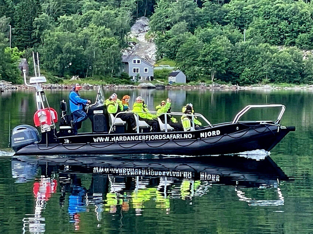 Hardanger Fjordsafari-Eidfjord必去景点