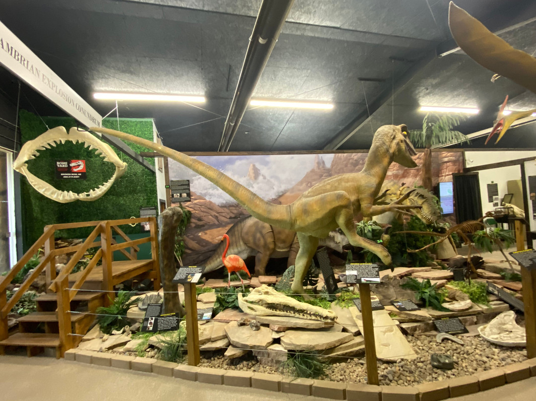 Boneyard Creation Museum-Broken Bow必去景点