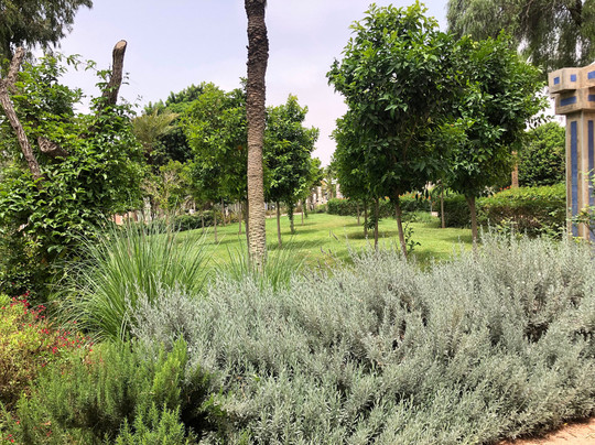 Jardin de Olhao-阿加迪尔必去景点