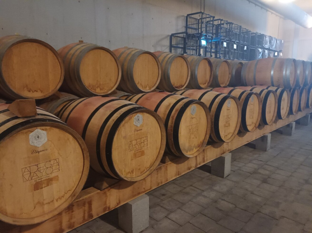 Adega Mayor-Campo Maior必去景点