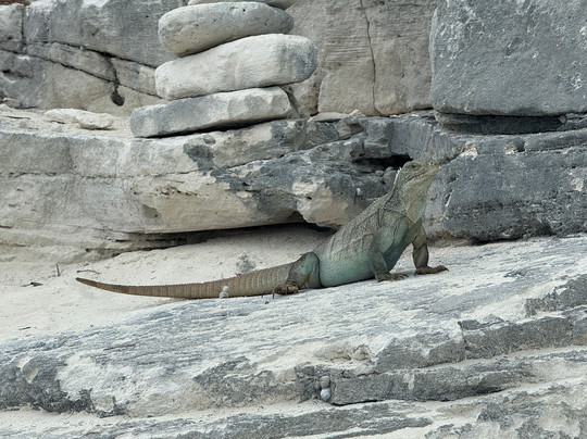 Caicos Island Charters-普罗维登西亚莱斯必去景点