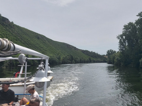 Neckar Käpt'n-斯图加特必去景点