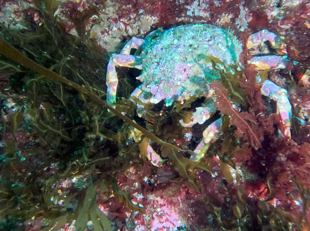 Dive Academy-Inishmore必去景点