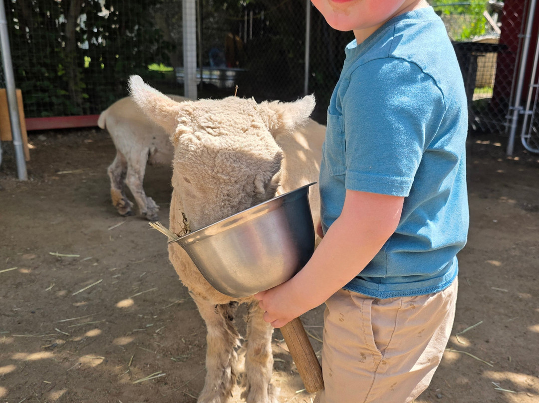 Don-O-Ray Farm Adventure-基洛纳必去景点