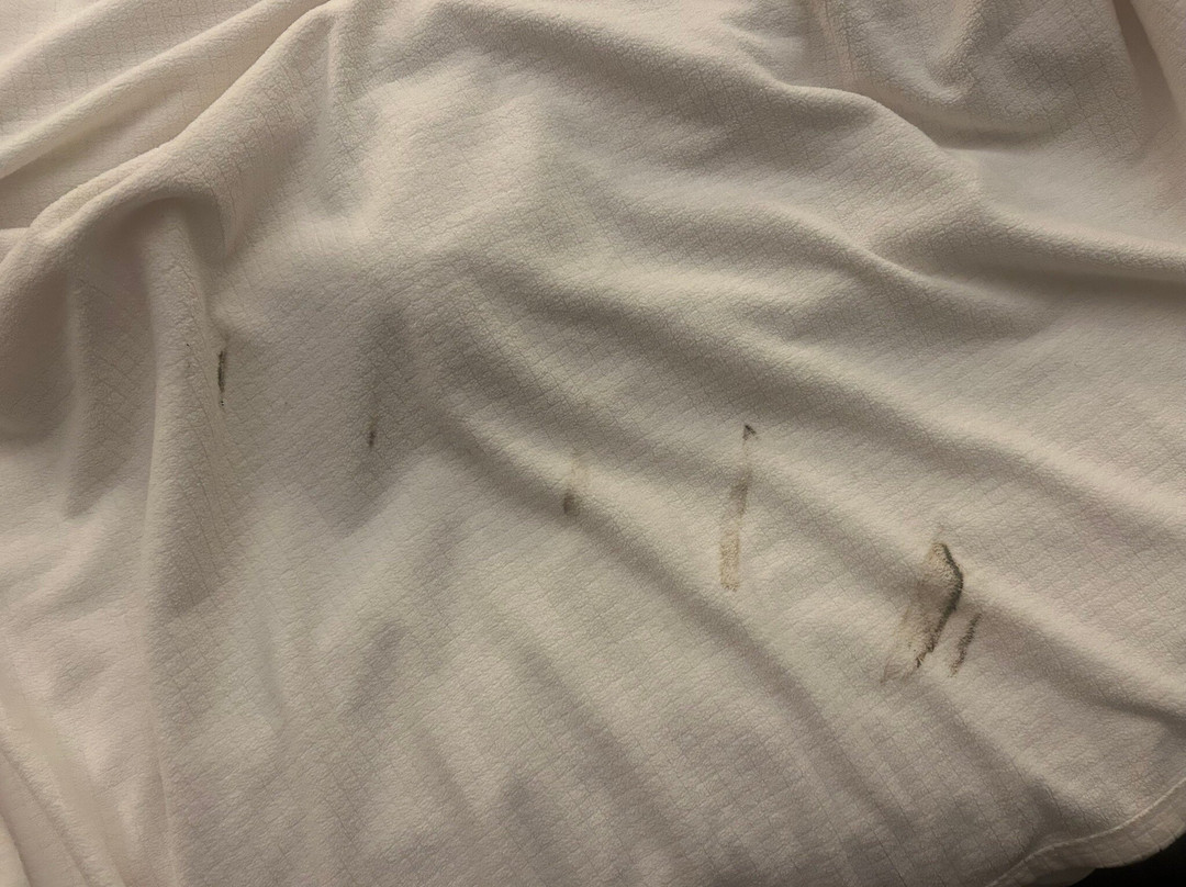 Drury Inn & Suites Kansas City Airport主图