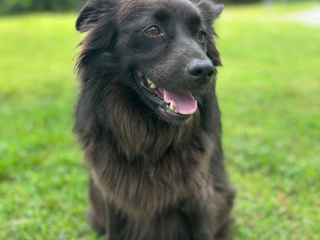 Bethel Pastures Farms Bed & Breakfast主图