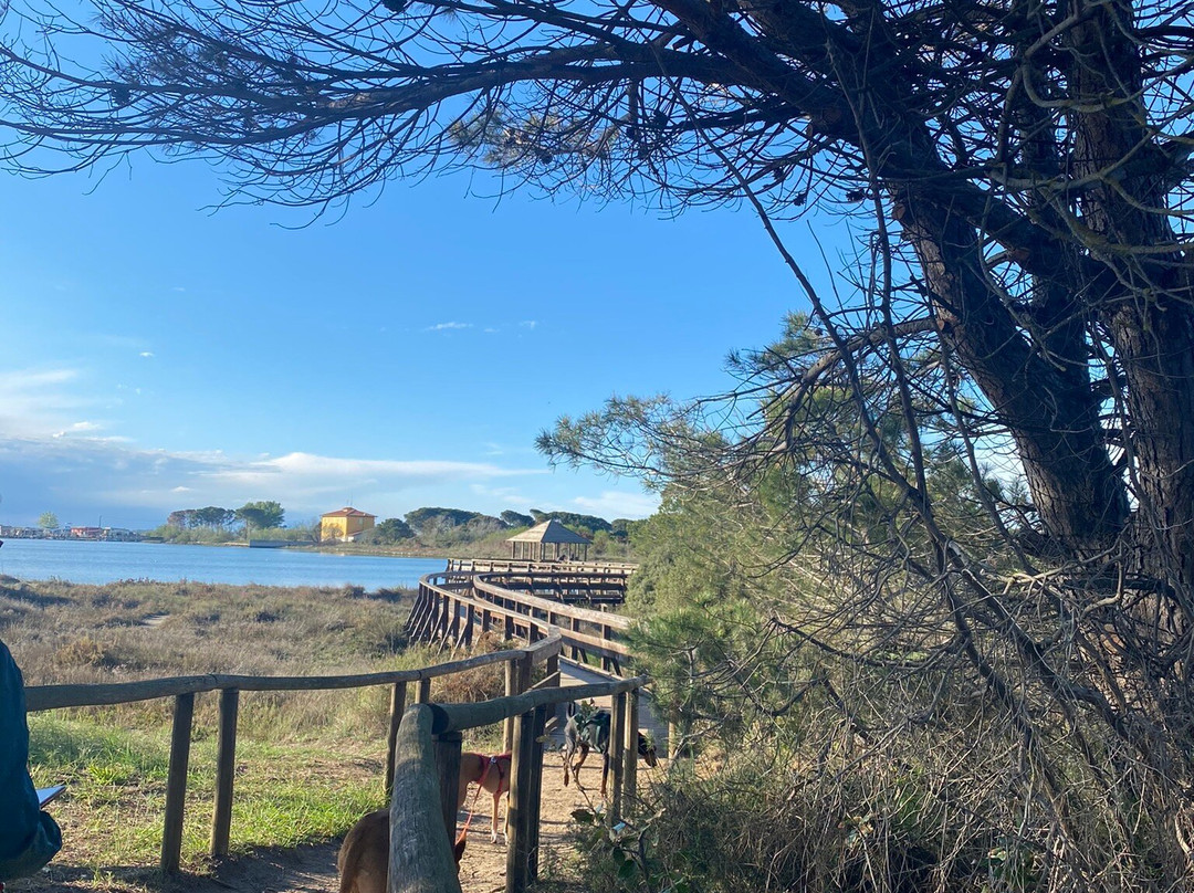 Giardino Botanico Litoraneo di Porto Caleri-罗索利纳必去景点