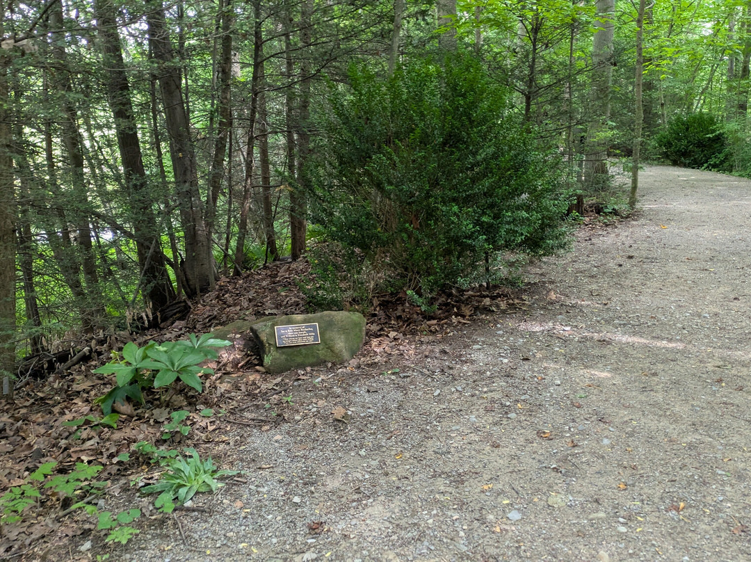 West Virginia Botanic Garden-Cheat Lake必去景点