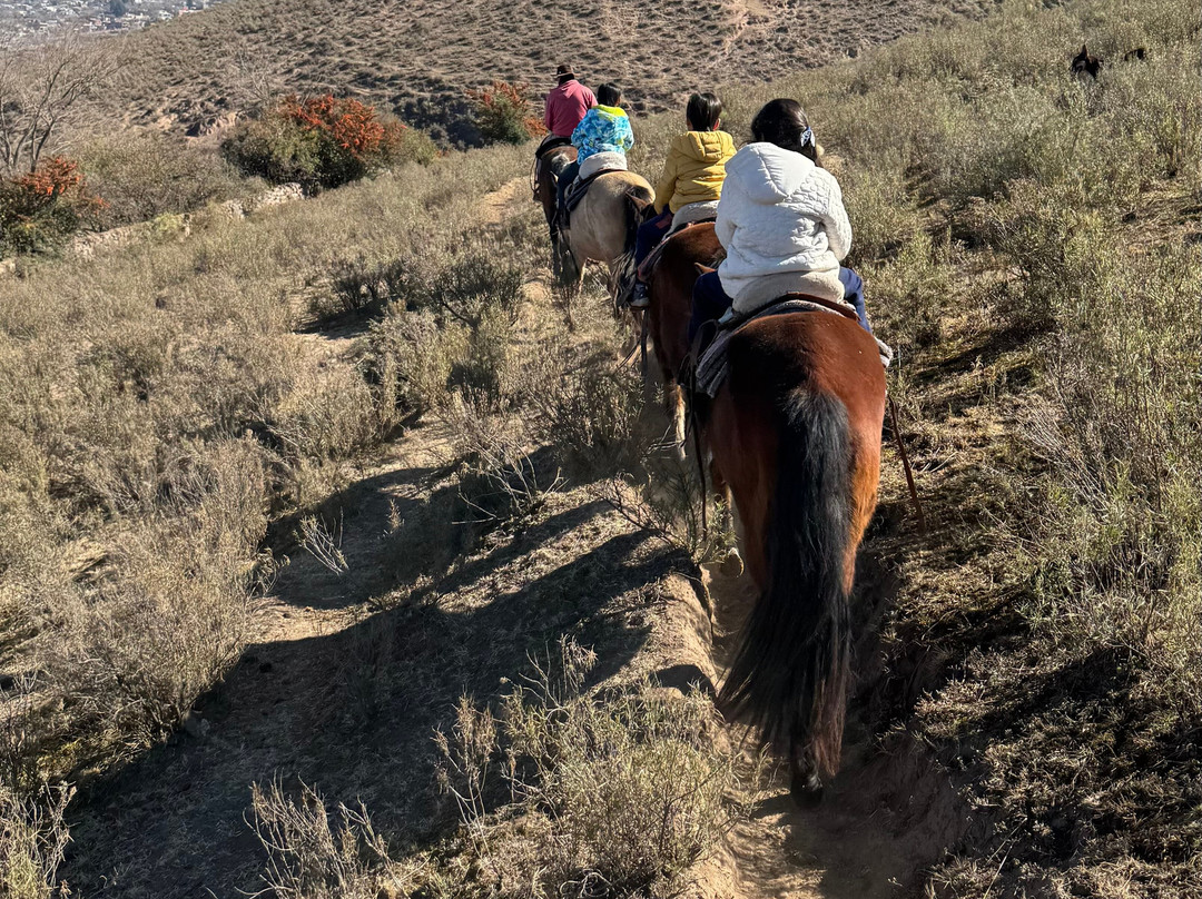El Puesto-Tafi del Valle必去景点