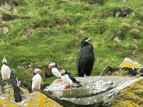 Isle of Harris Sea Tours-Tarbert必去景点