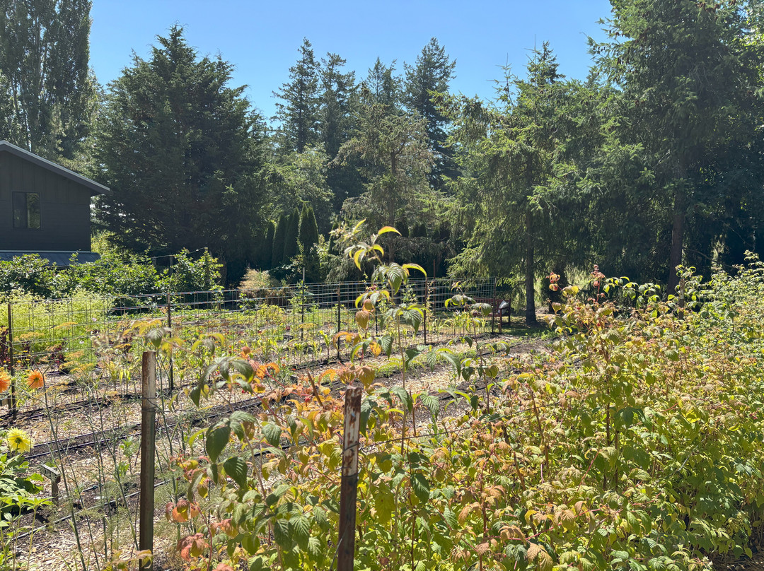 Pebble Cove Farm Inn and Animal Sanctuary主图