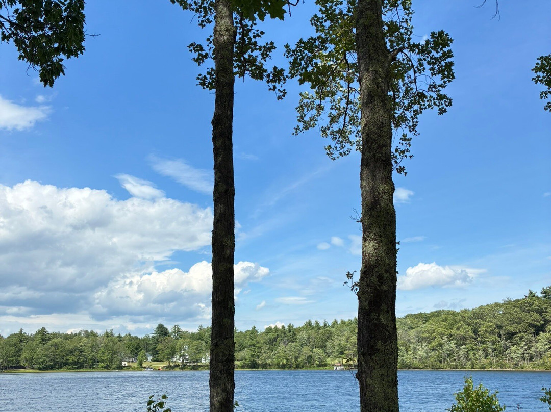 Lake Shore Farm主图