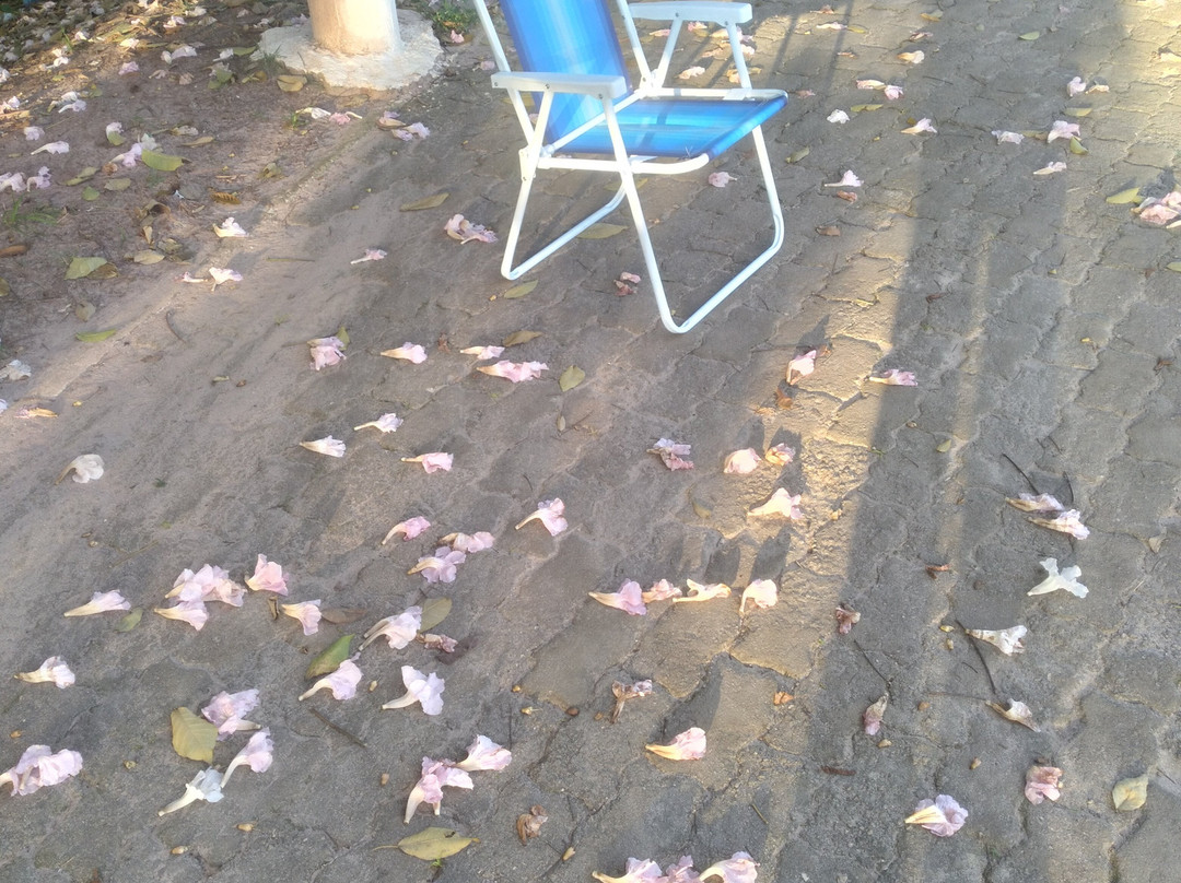 Portal da Amazonia-贝伦必去景点