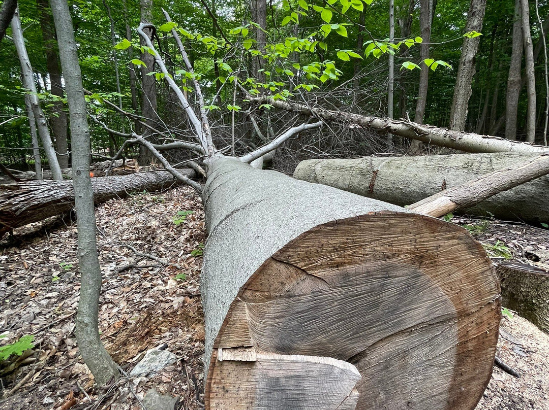Parc National Du Mont St-bruno-蒙特利尔圣布鲁诺山必去景点