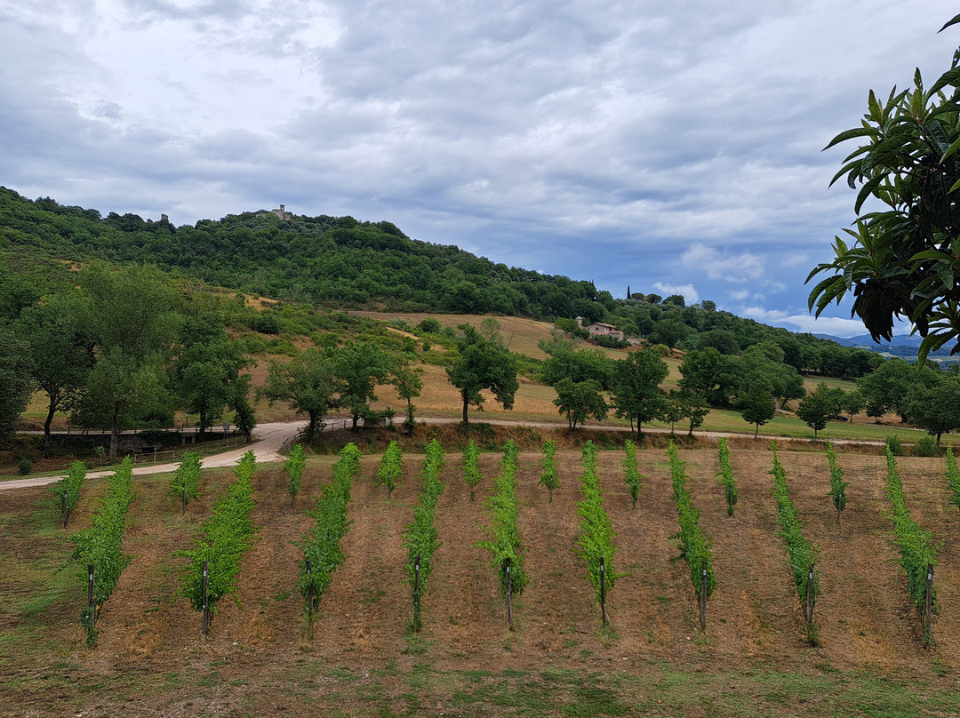 Vineria del Carmine-La Bruna必去景点