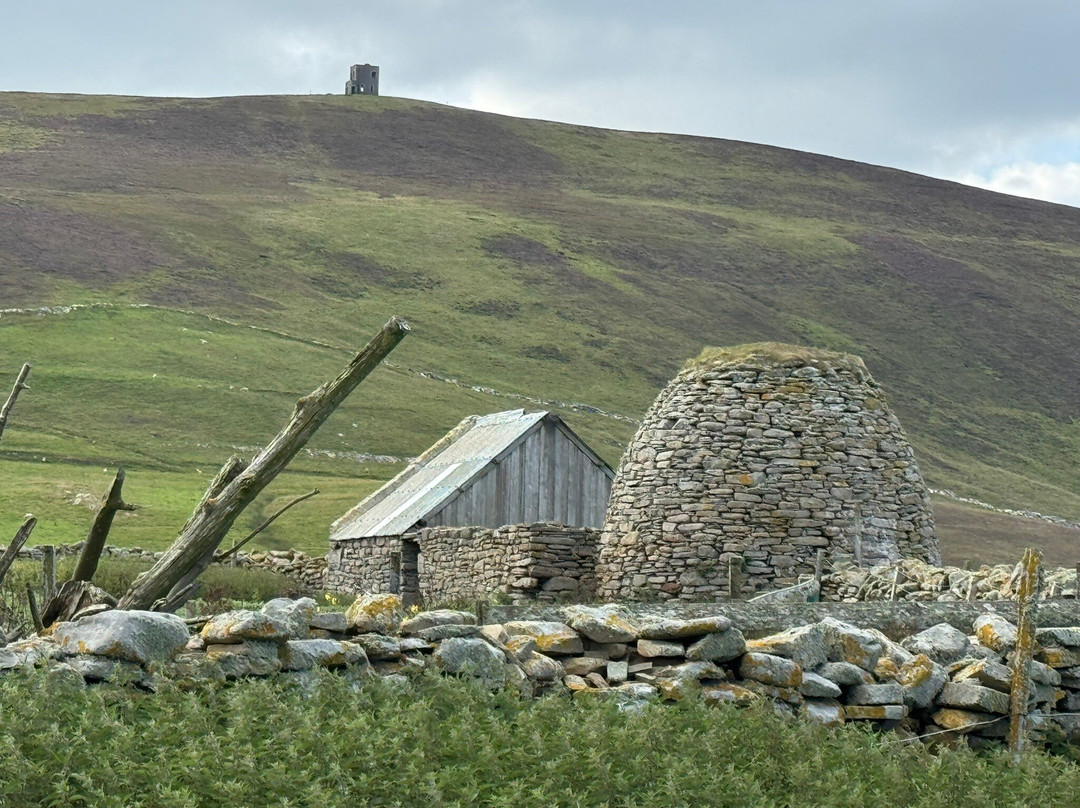 Noss National Nature Reserve-Bressay必去景点