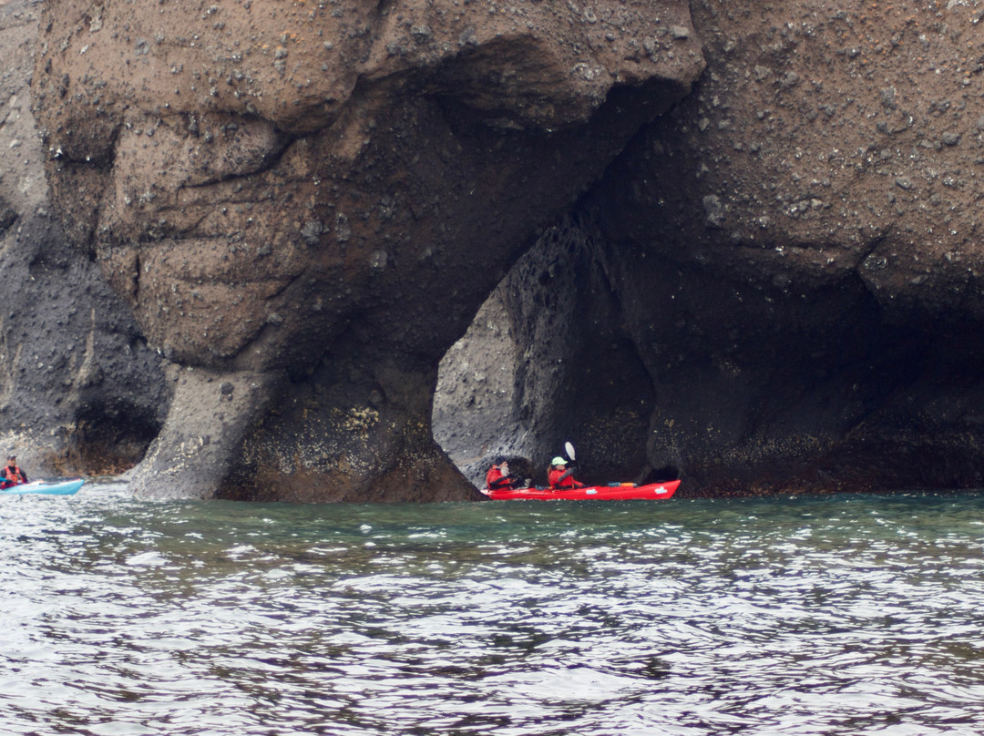 Disko Adventures-Qeqertarsuaq必去景点