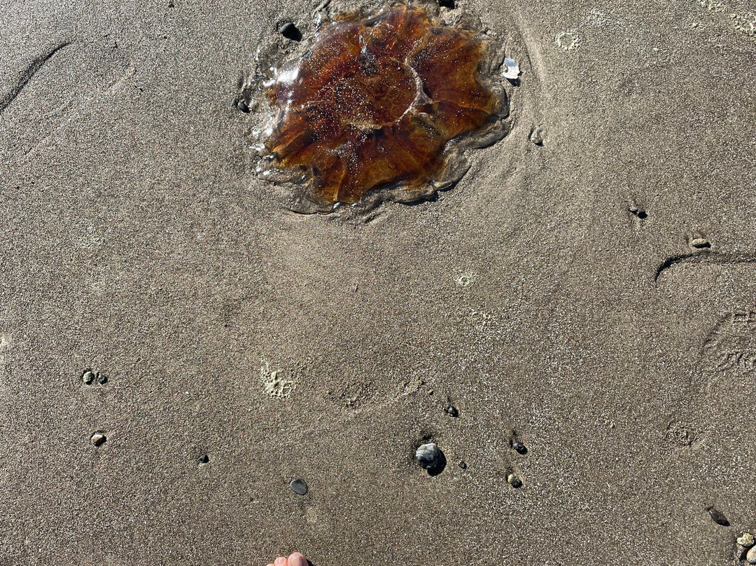 Roads End State Recreation Site-林肯城必去景点