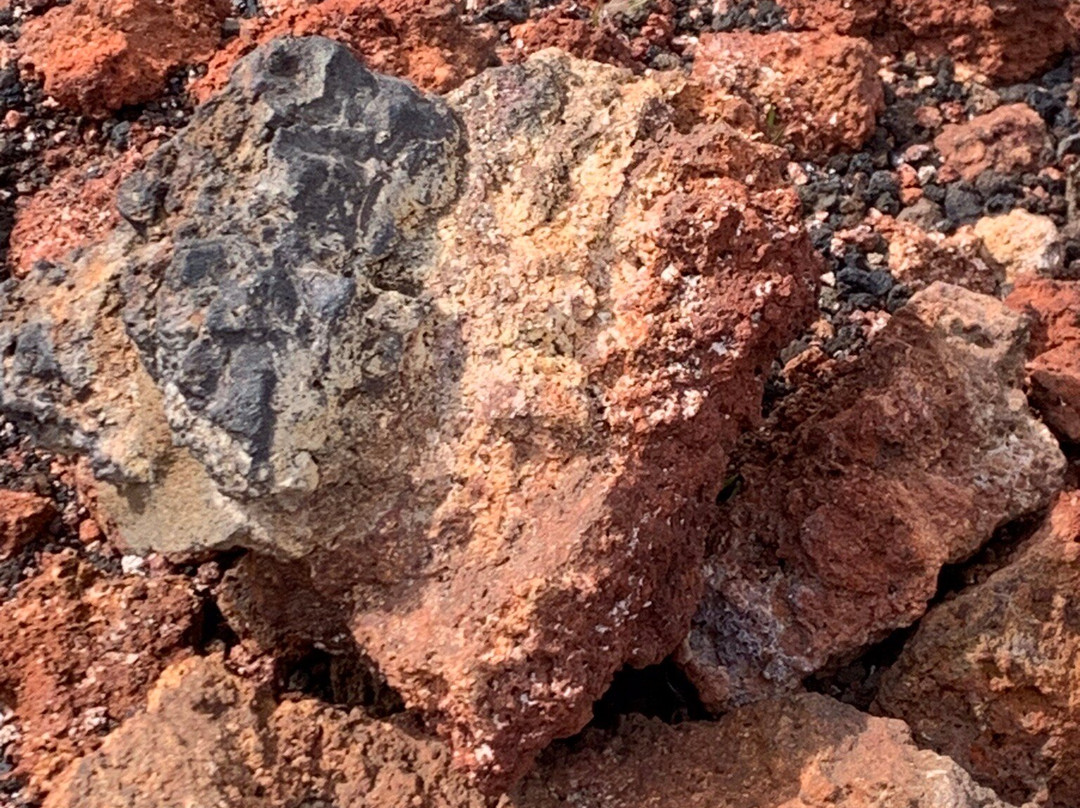 Guesthouse Hamar主图