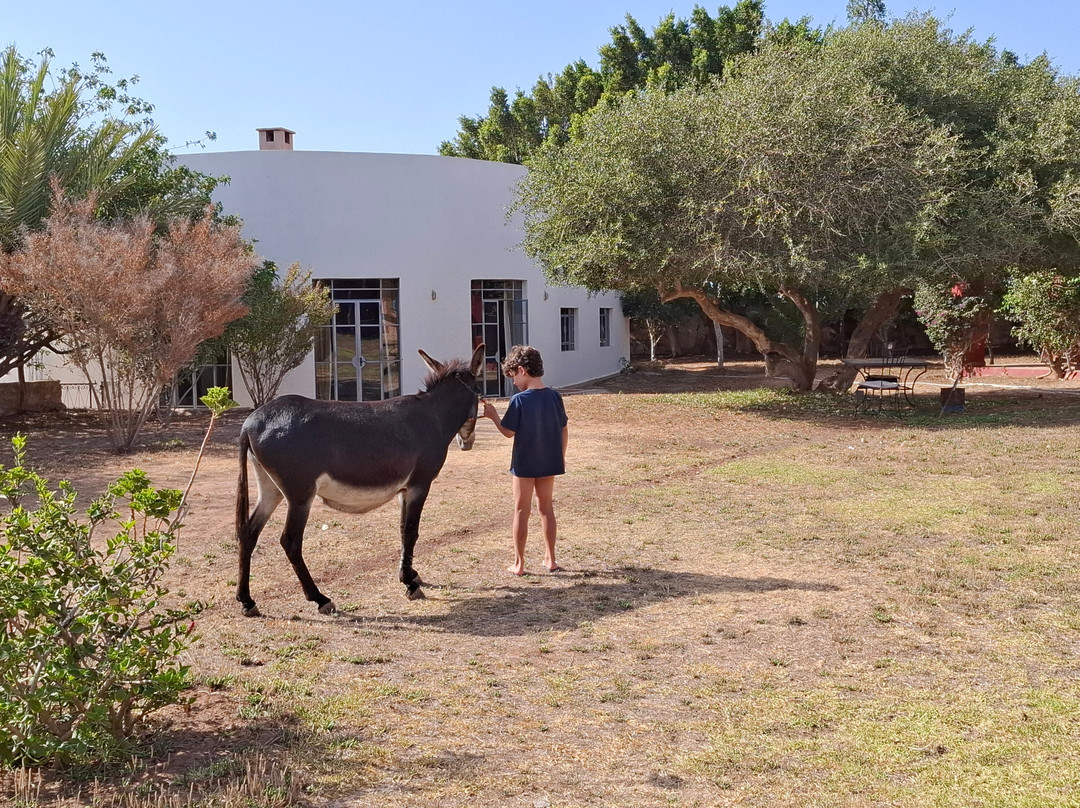 多美德拉格纳雷酒店主图
