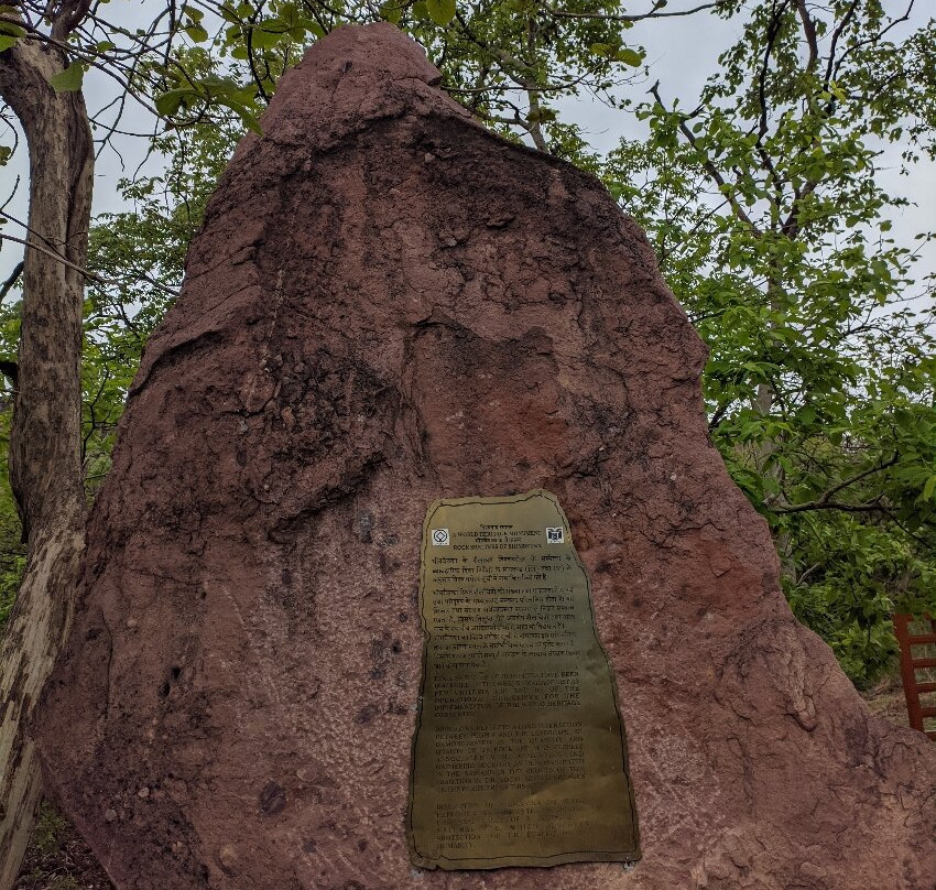 Bhimbetka Caves-Raisen必去景点