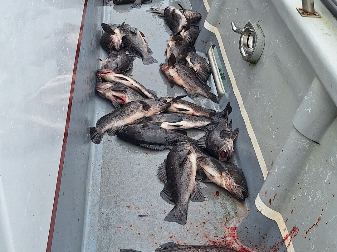 Tornado Fishing Charters-Westport必去景点