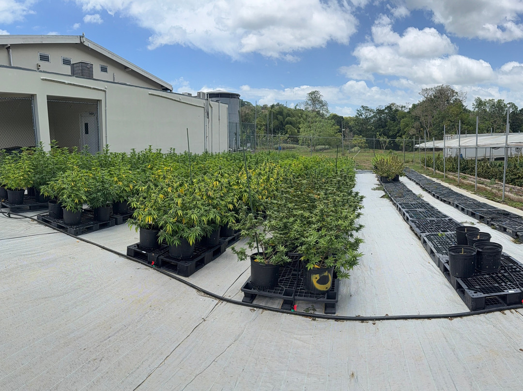 Jacana Farm Tours-奥乔里奥斯必去景点