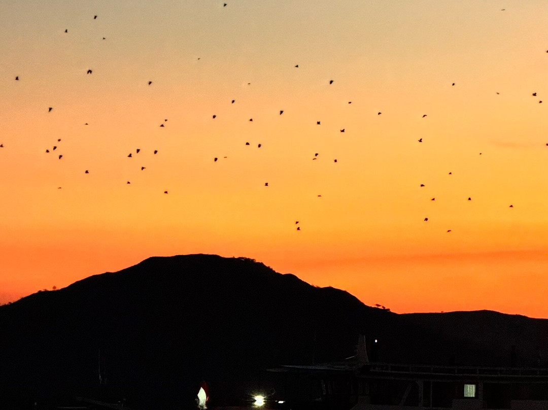 Flores Experience-Labuan Bajo必去景点