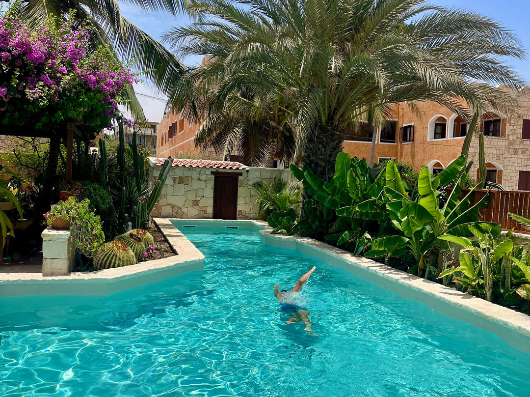 Orquidea Guest House主图