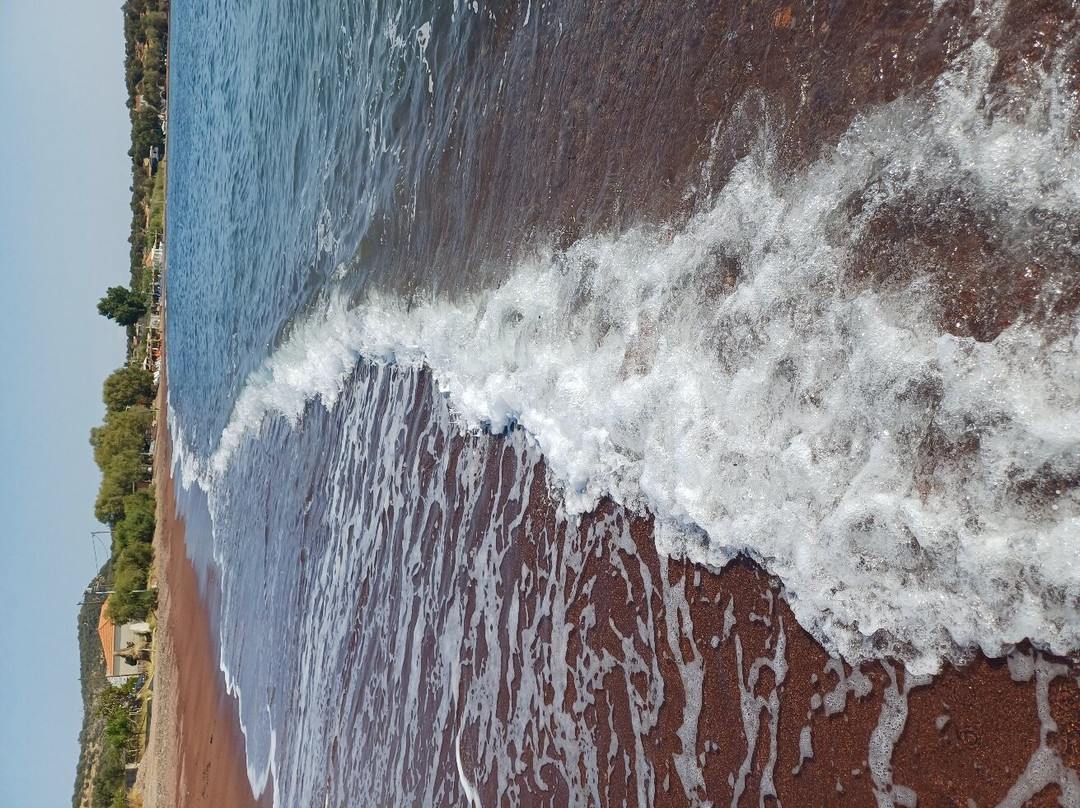 Tsonia Beach-Tsonia必去景点