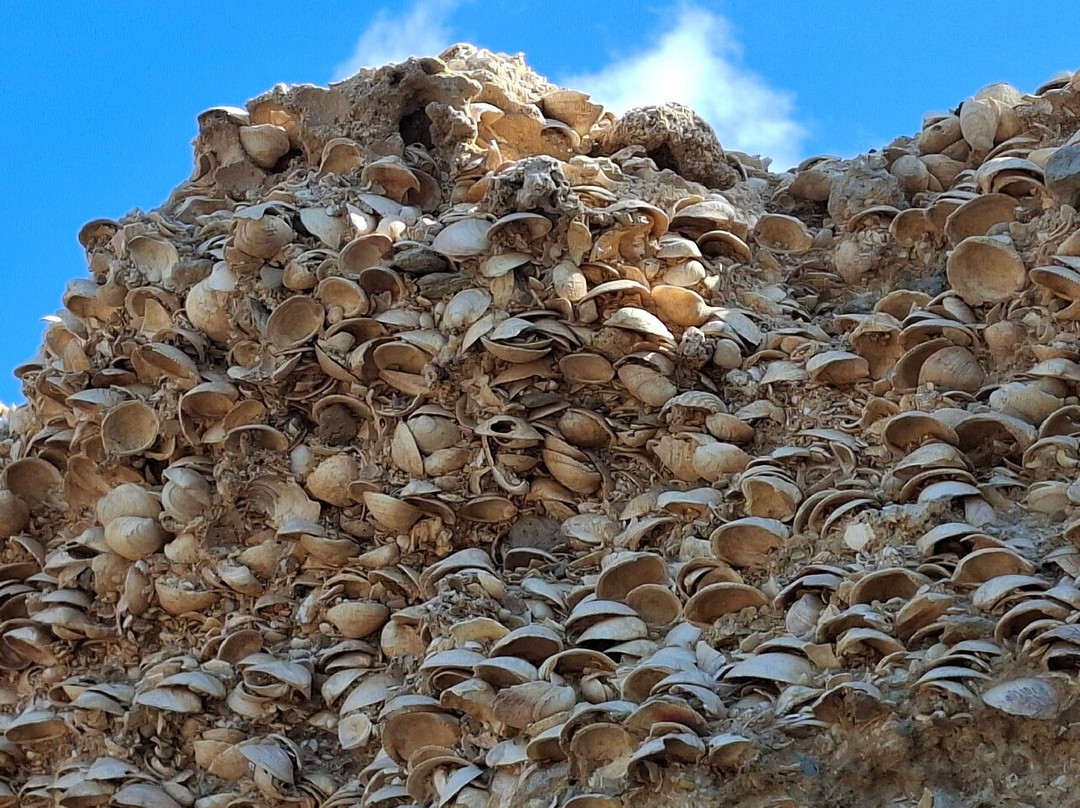 Michaliou Kipos Beach-Kipi Afiarti必去景点