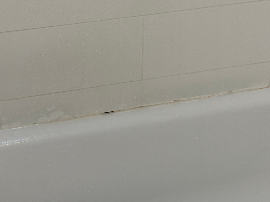 海伦希尔顿恒庭酒店主图