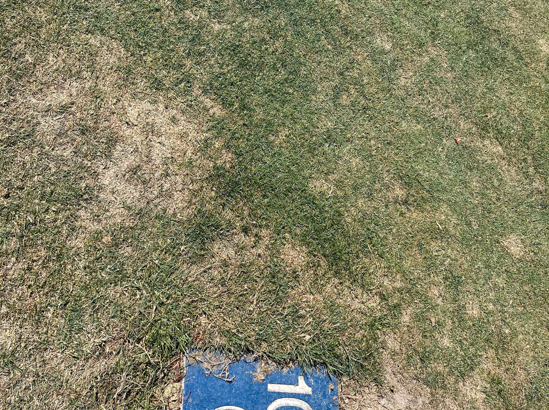 Golf International Barrière La Baule-拉博尔埃斯库布拉克必去景点