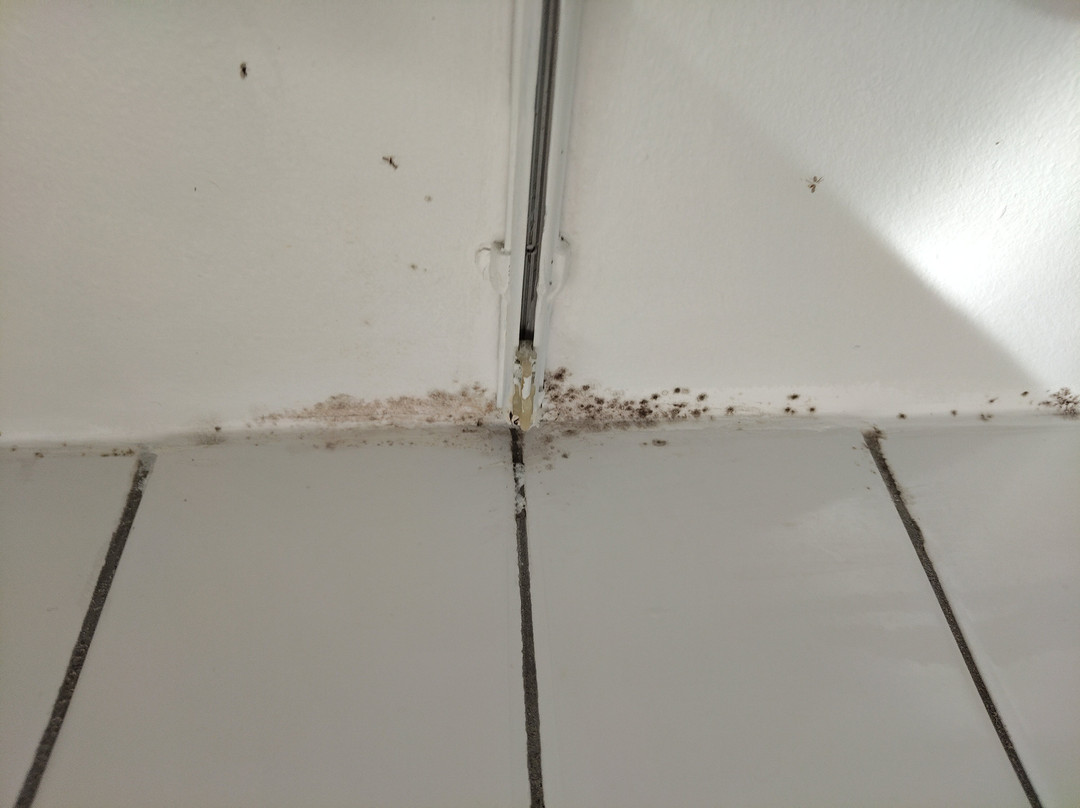 Ibis Budget Limoges主图