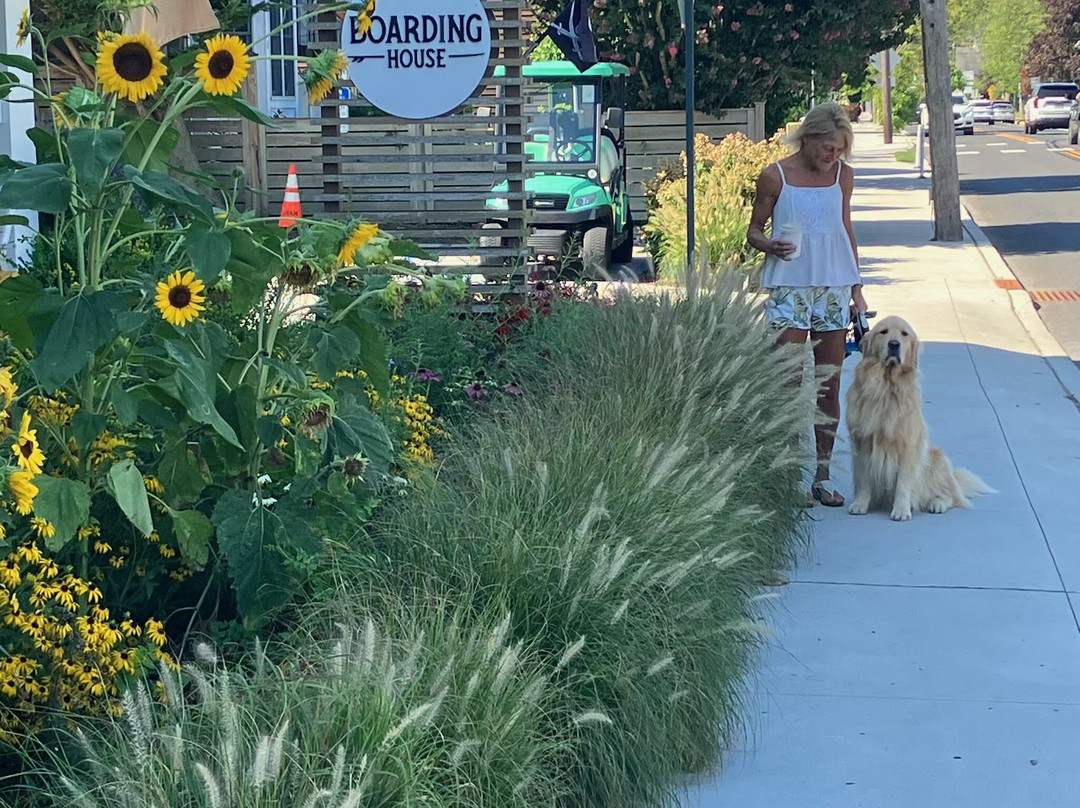 Boarding House Cape May主图