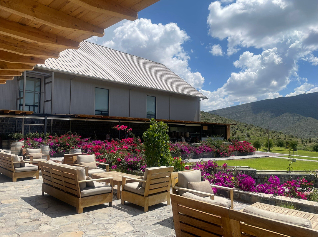 Vinedos Don Leo-Parras de la Fuente必去景点