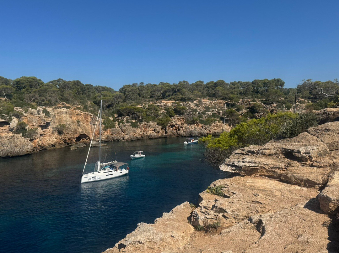 Playa Cala Pi-Cala Pi必去景点