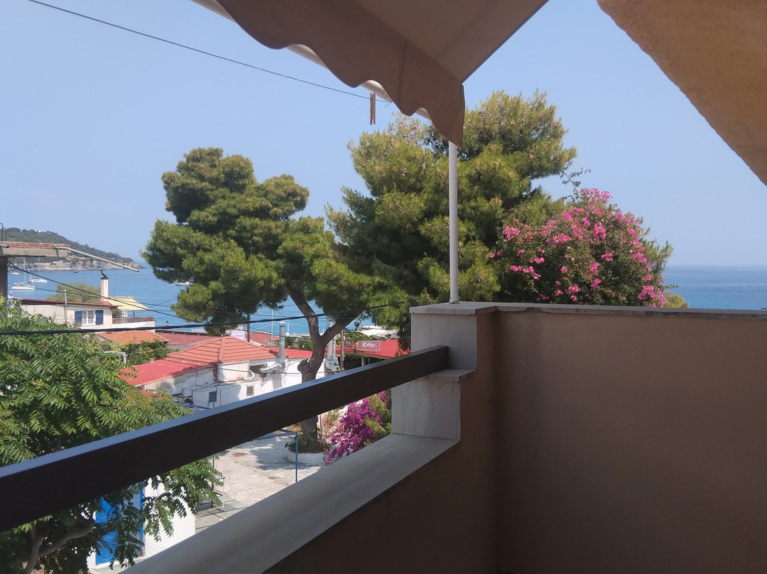 雷切尔酒店主图