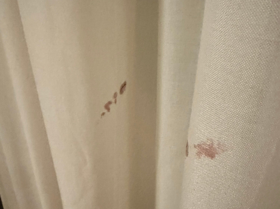 Hotel Adriatico主图