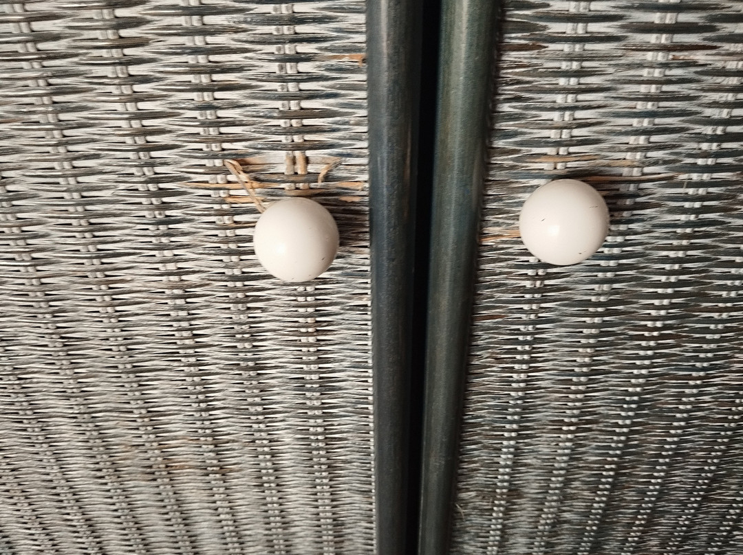 Hotel Comarruga Platja主图