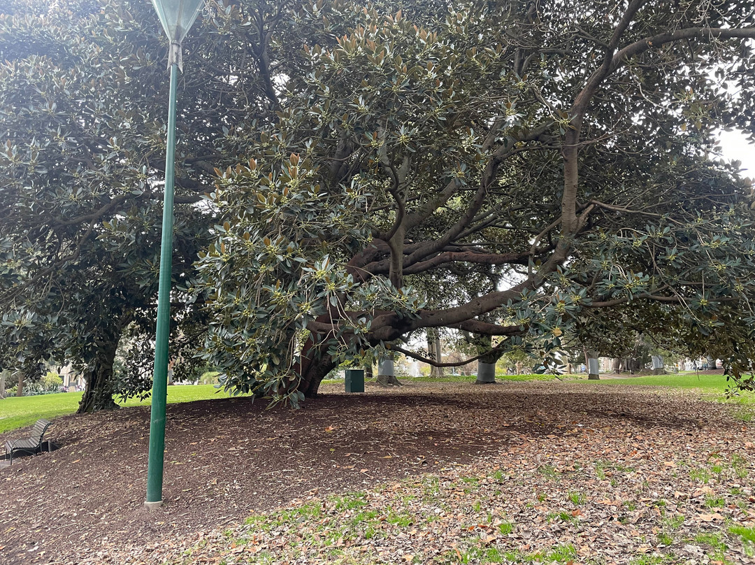 Carlton Gardens-墨尔本必去景点